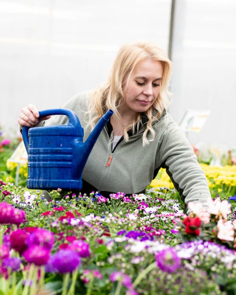 Salzachblume - Gärtnerei, Pflanzengroßmarkt, Dekorationshandel