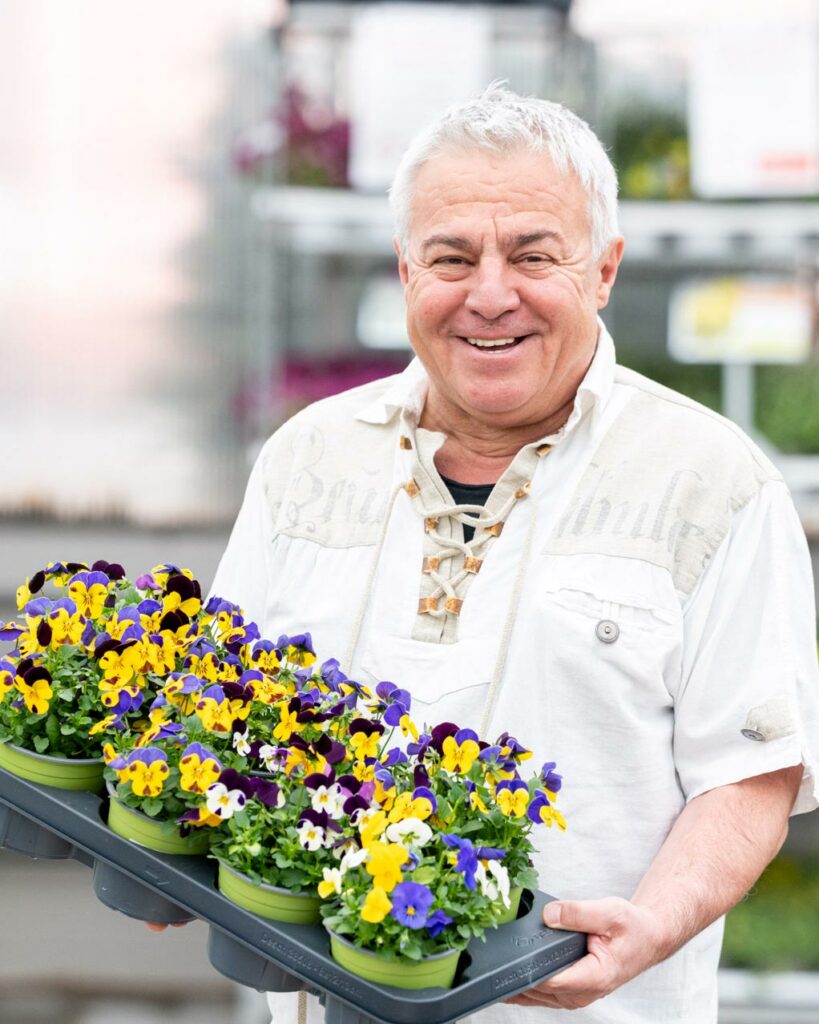 Salzachblume - Gärtnerei, Pflanzengroßmarkt, Dekorationshandel