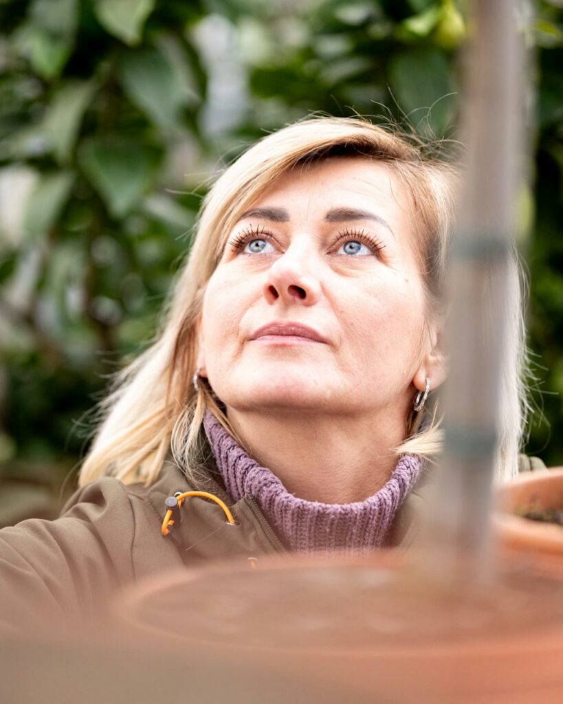 Salzachblume - Gärtnerei, Pflanzengroßmarkt, Dekorationshandel