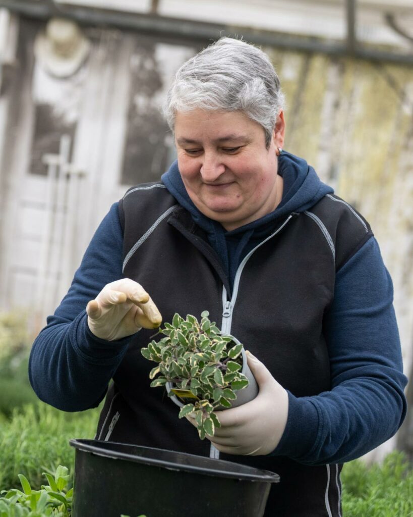 Salzachblume - Gärtnerei, Pflanzengroßmarkt, Dekorationshandel